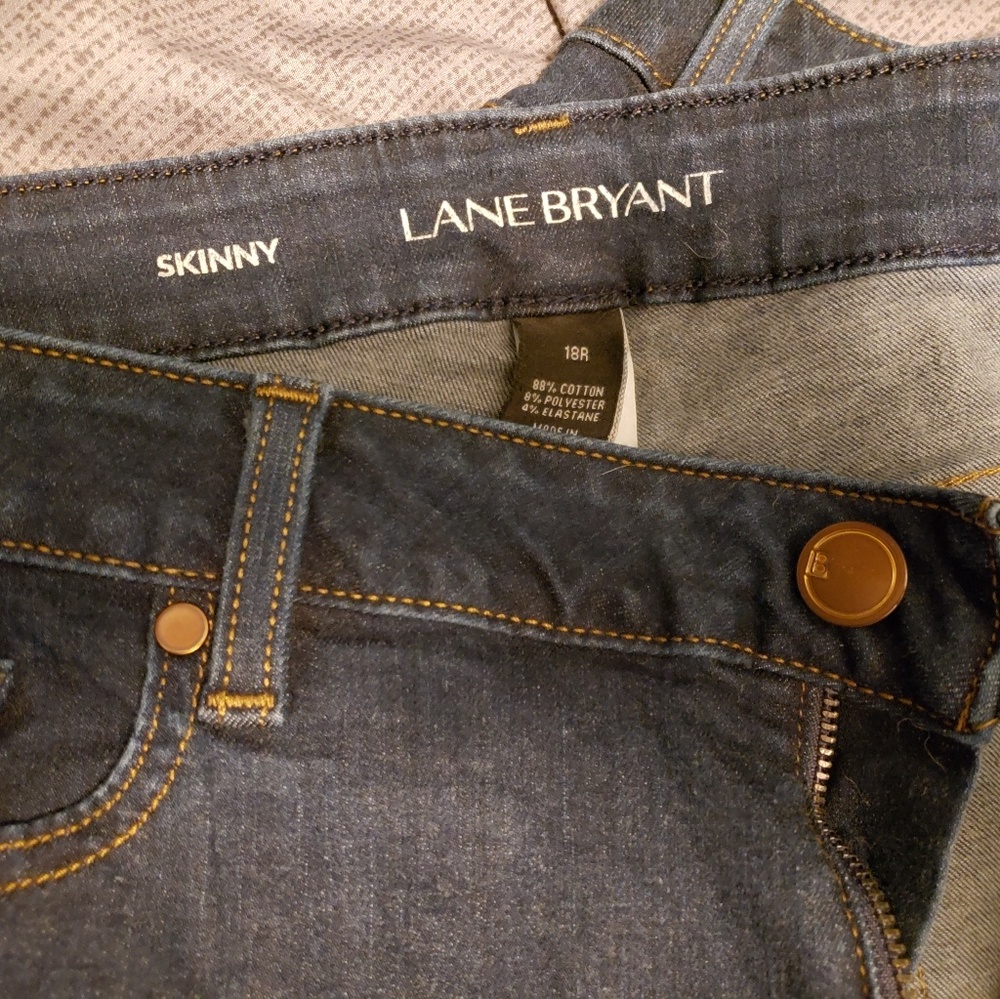 Lane Bryant Skinny Jeans